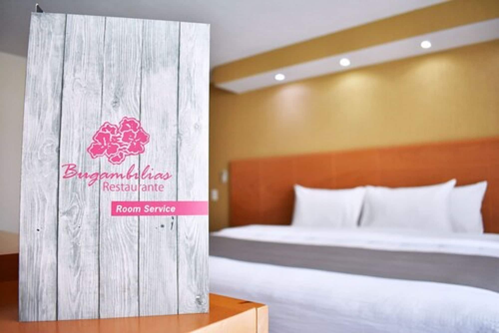 La Posada Hotel Y Suites San Luis Potosí Zewnętrze zdjęcie