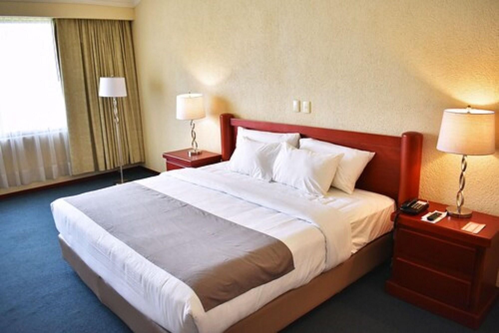 La Posada Hotel Y Suites San Luis Potosí Zewnętrze zdjęcie