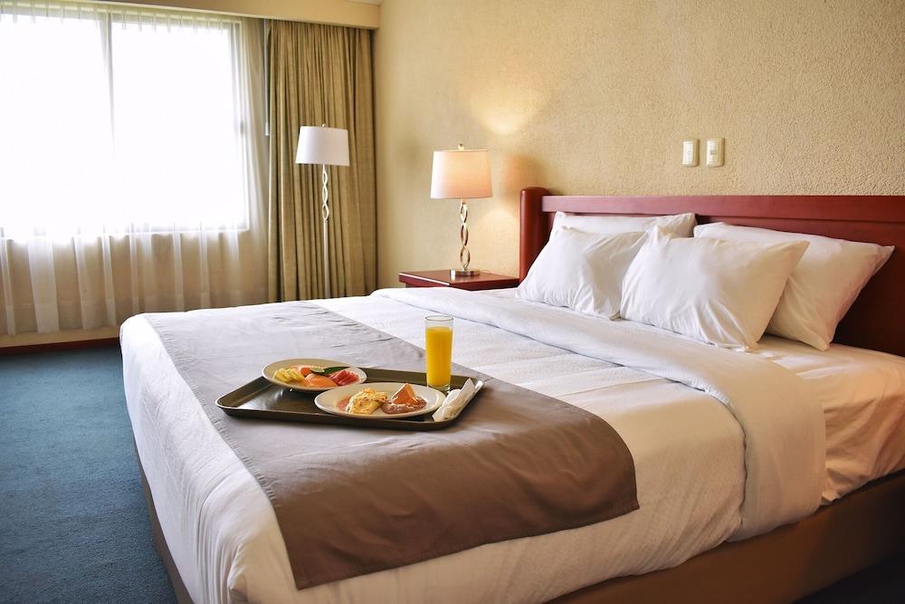 La Posada Hotel Y Suites San Luis Potosí Zewnętrze zdjęcie